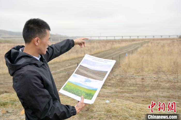 “黄河蓄水池”甘肃玛曲累计治理沙化土地面积逾37万亩